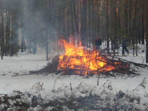 Сжигание порубочных остатков. Сжигание порубочных остатков зимой. Сжигание порубочных остатков на лесосеке. Порубочные остатки в лесу.