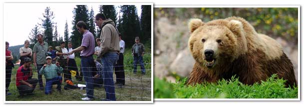 Тренинг «Бурый медведь и человек в Алтае-Саянах: проблемы взаимоотношений и пути их решения»