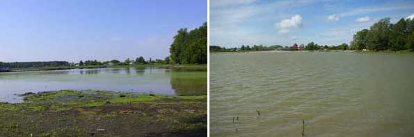 Озеро Лебяжье. Фото 1 (слева) - до начала работ. Фото 2 (справа) - после окончания работ